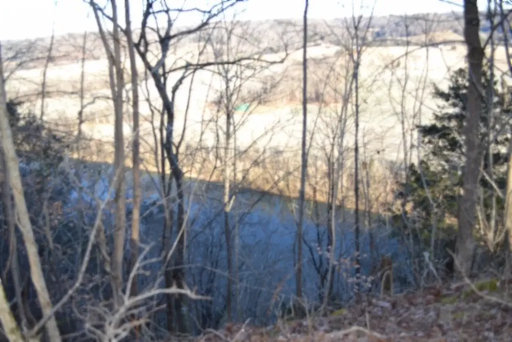 5.52AC Cabin Hill Road Celina TN 38551