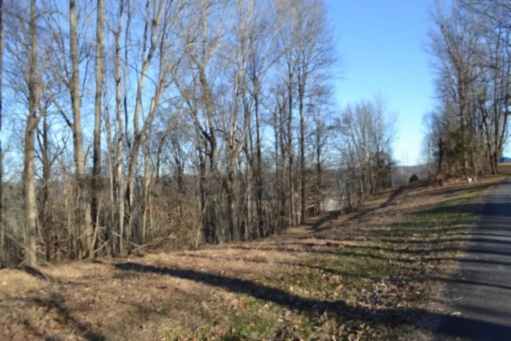 5.52AC Cabin Hill Road Celina TN 38551