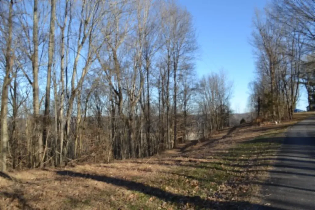 5.52AC Cabin Hill Road Celina TN 38551