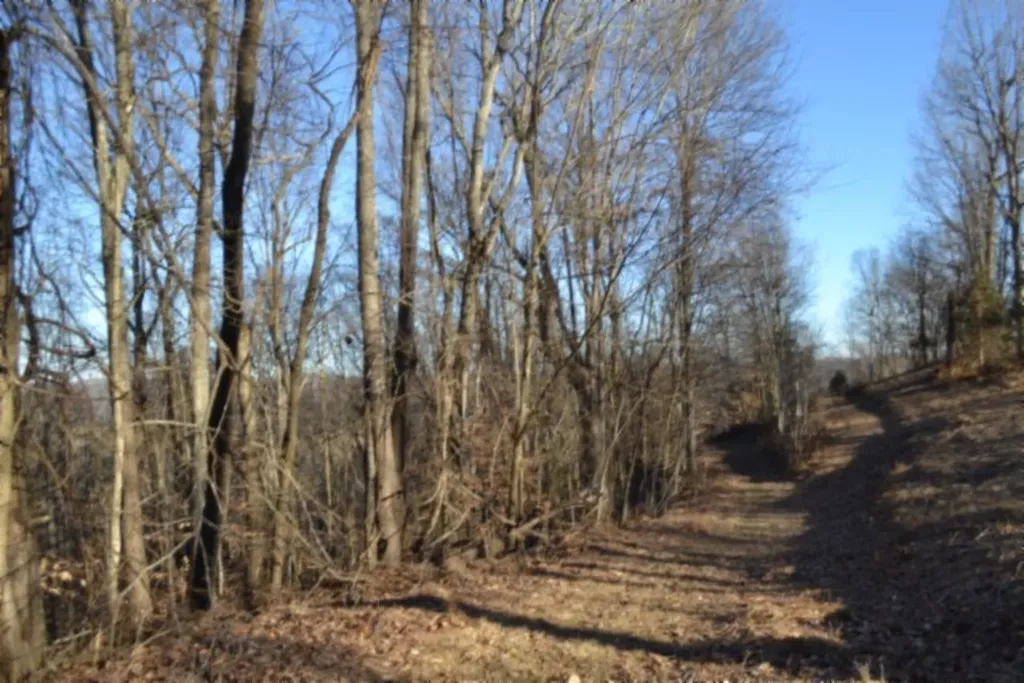 5.52AC Cabin Hill Road Celina TN 38551