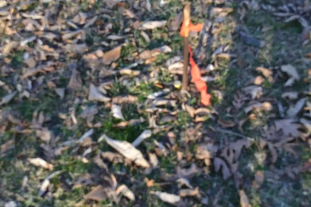 5.52AC Cabin Hill Road Celina TN 38551