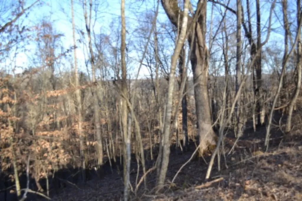 5.52AC Cabin Hill Road Celina TN 38551