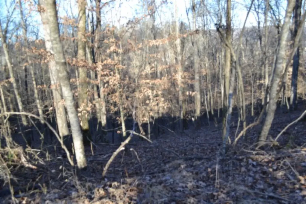 5.52AC Cabin Hill Road Celina TN 38551