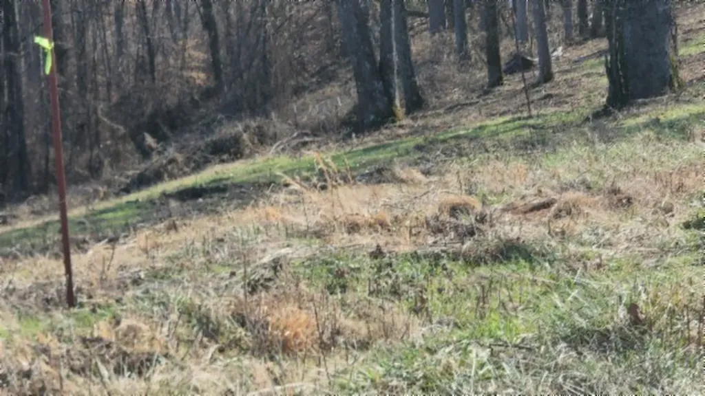 Lot 13 Lord Botetourt Court Baxter TN 38506