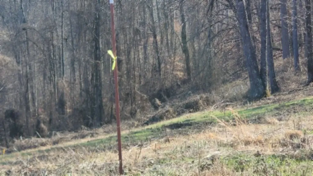 Lot 13 Lord Botetourt Court Baxter TN 38506