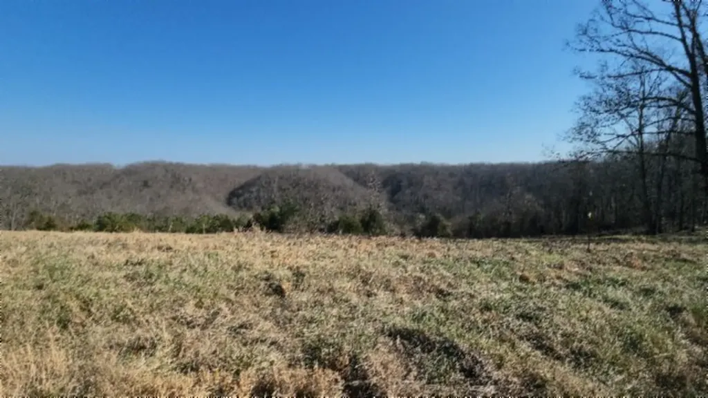Lot 13 Lord Botetourt Court Baxter TN 38506