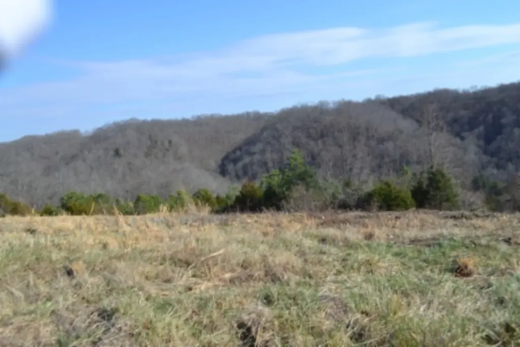 Lot 13 Lord Botetourt Court Baxter TN 38506