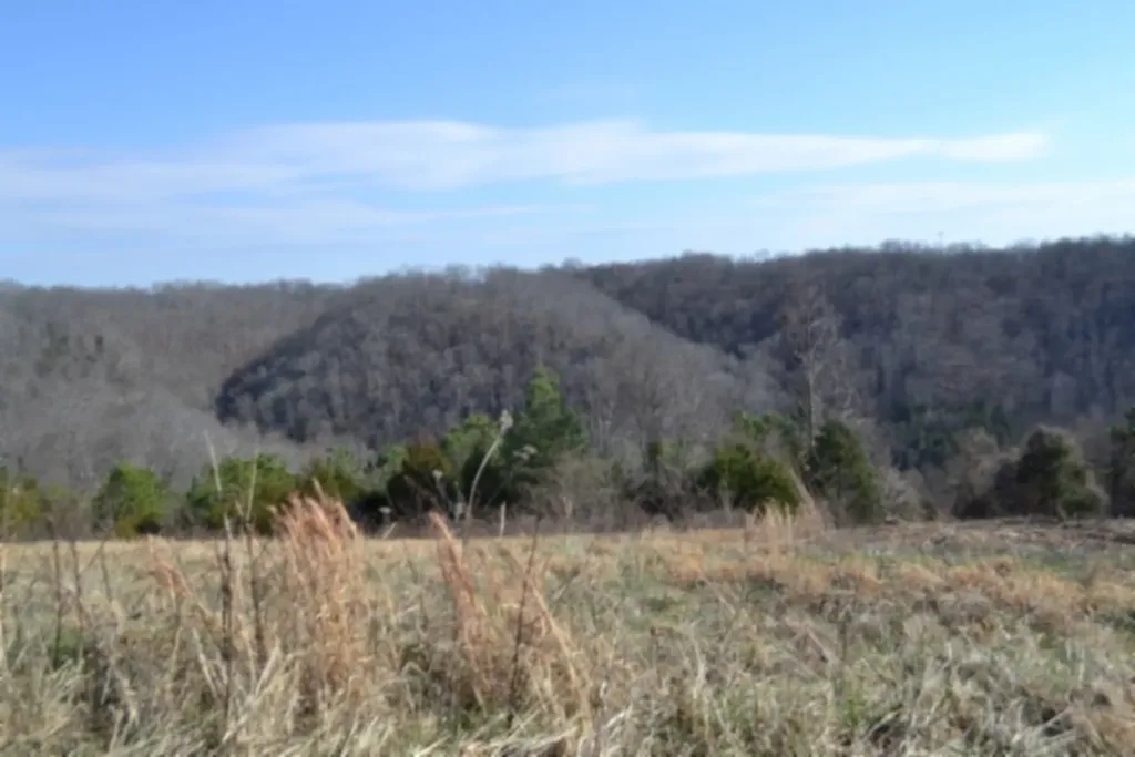 Lot 13 Lord Botetourt Court Baxter TN 38506