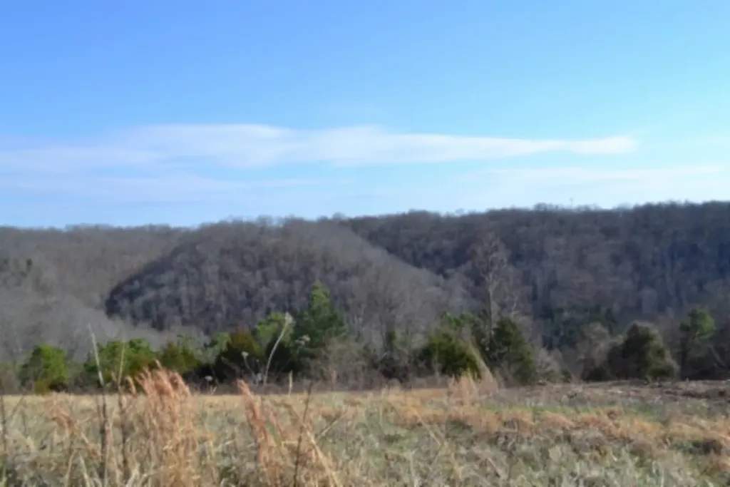 Lot 13 Lord Botetourt Court Baxter TN 38506