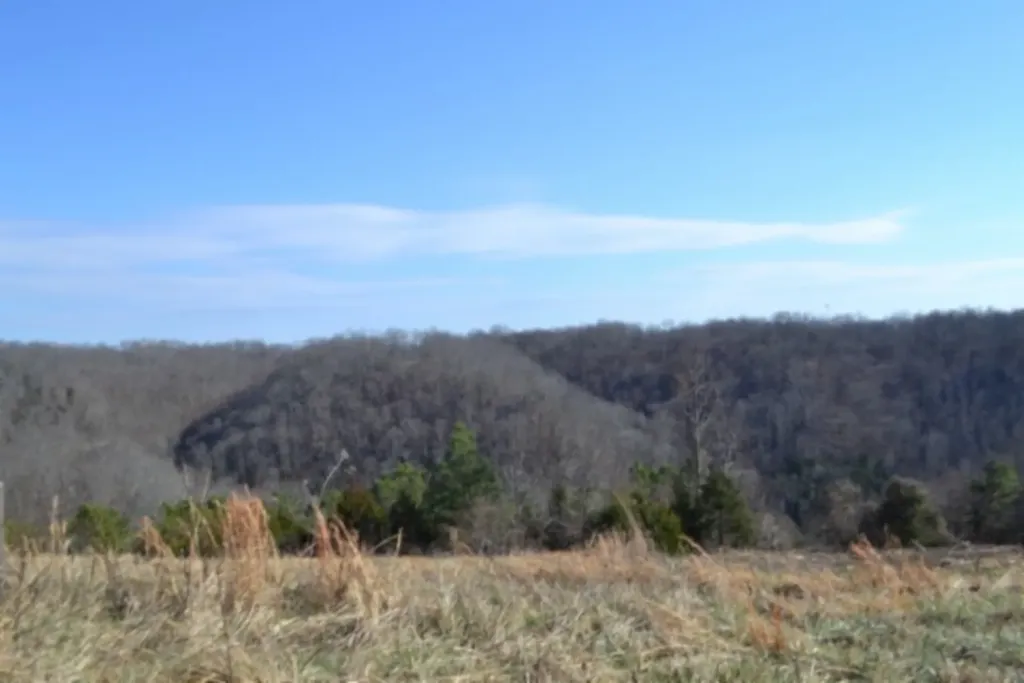 Lot 13 Lord Botetourt Court Baxter TN 38506