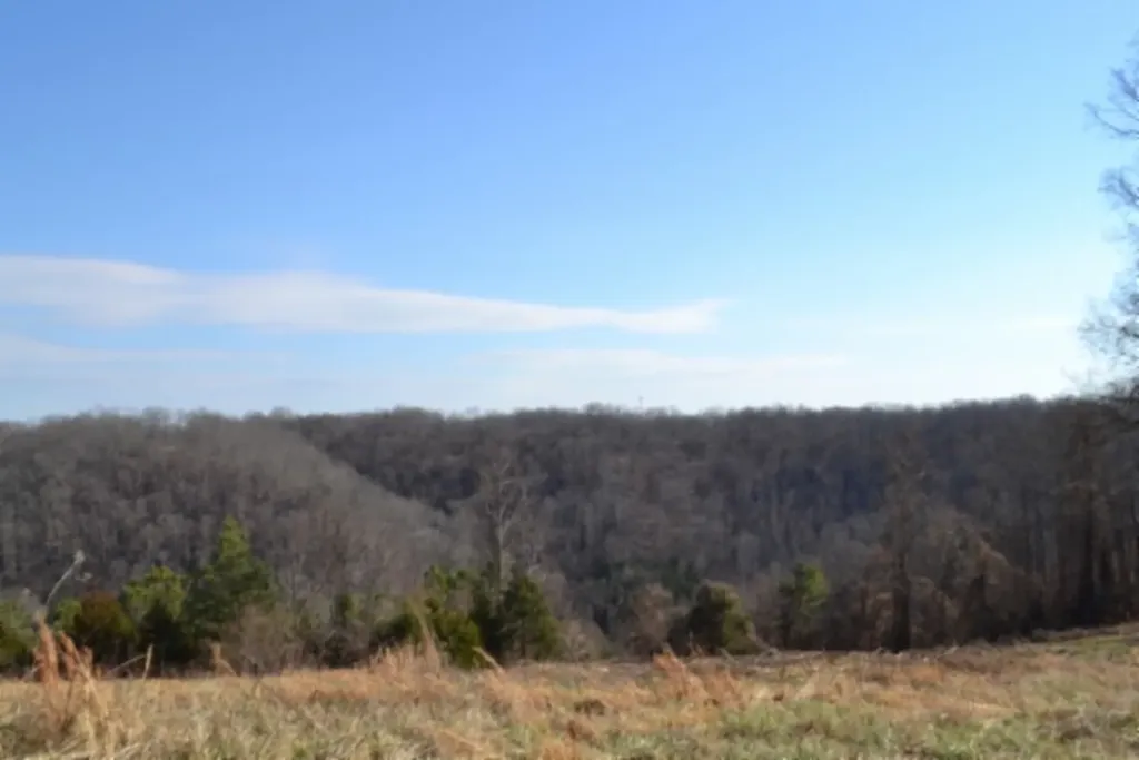 Lot 13 Lord Botetourt Court Baxter TN 38506
