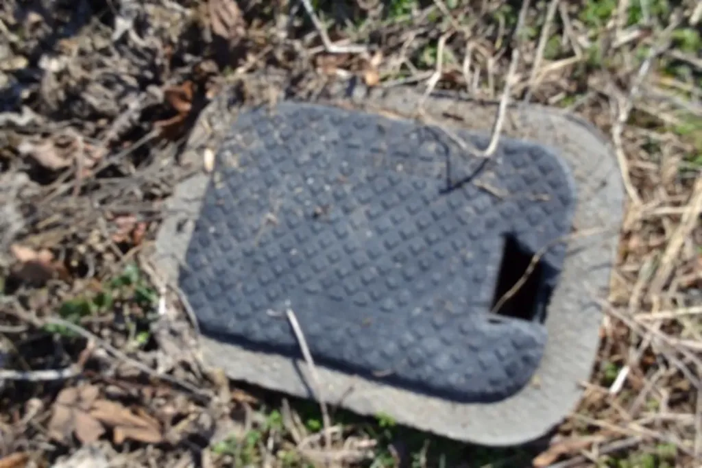 Lot 13 Lord Botetourt Court Baxter TN 38506