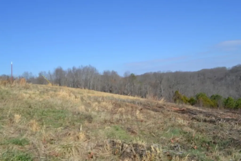 Lot 13 Lord Botetourt Court Baxter TN 38506