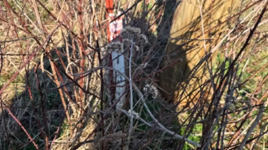 Lot 13 Lord Botetourt Court Baxter TN 38506