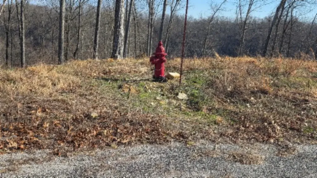 Lot 13 Lord Botetourt Court Baxter TN 38506