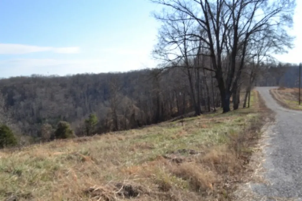 Lot 13 Lord Botetourt Court Baxter TN 38506