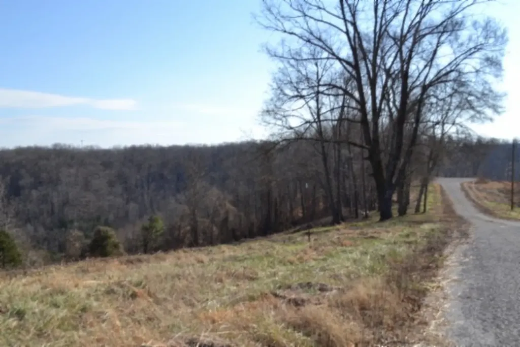 Lot 13 Lord Botetourt Court Baxter TN 38506
