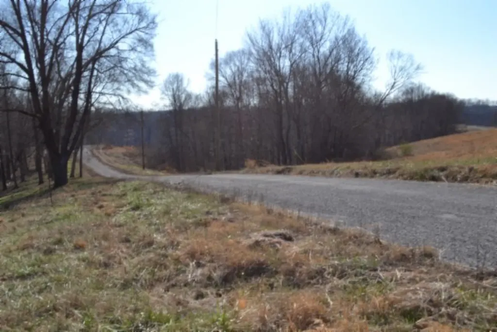 Lot 13 Lord Botetourt Court Baxter TN 38506