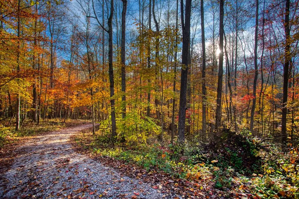 1192 Shellotte Loop Pall Mall TN 38577