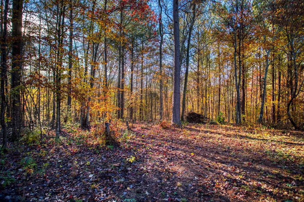 1192 Shellotte Loop Pall Mall TN 38577