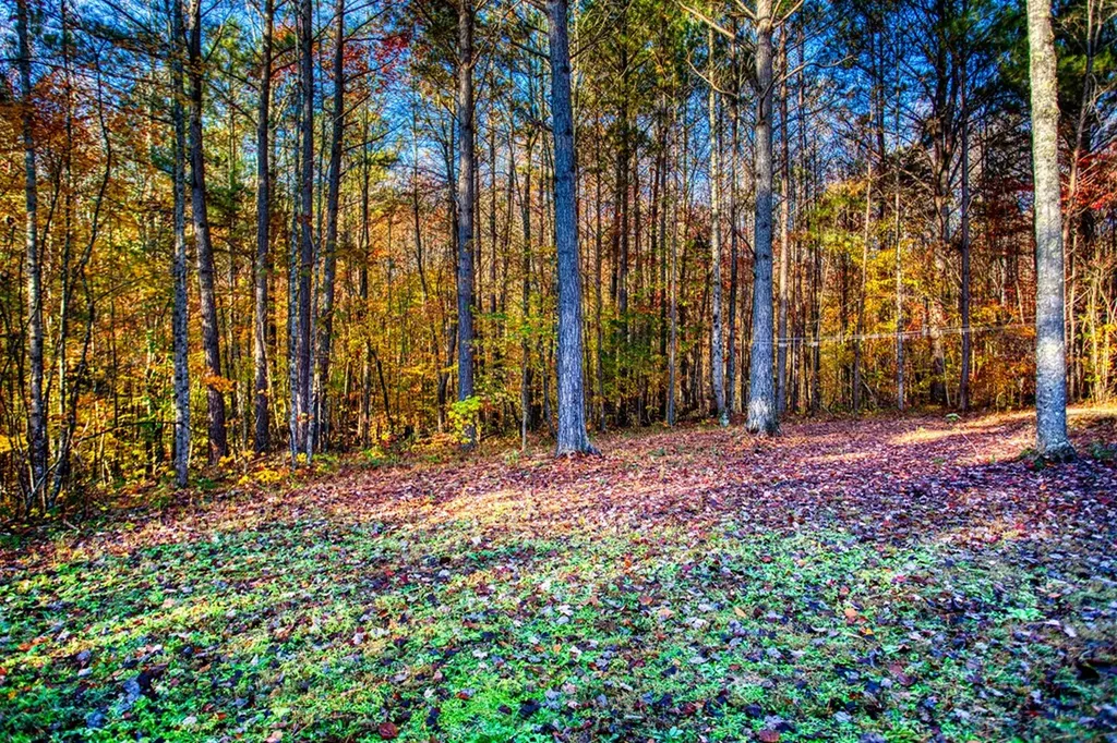 1192 Shellotte Loop Pall Mall TN 38577