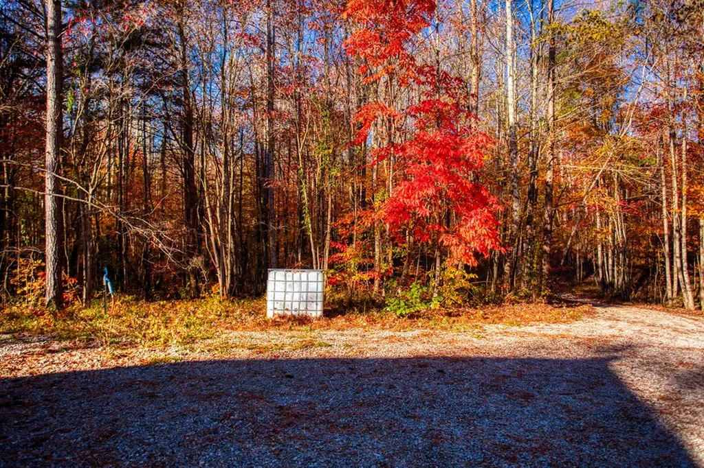 1192 Shellotte Loop Pall Mall TN 38577