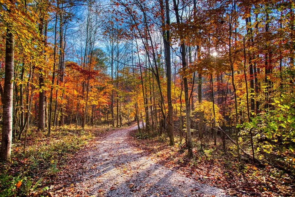 1192 Shellotte Loop Pall Mall TN 38577