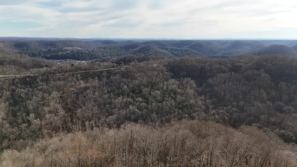 276 Schelley Road Gainesboro TN 38562