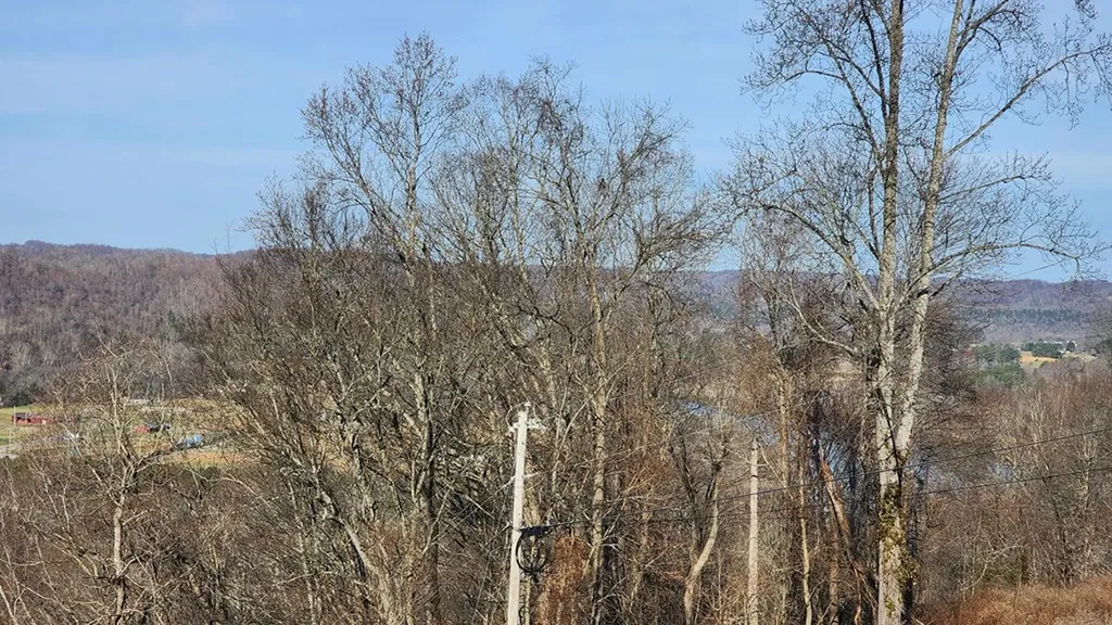 276 Schelley Road Gainesboro TN 38562