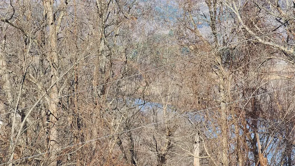 276 Schelley Road Gainesboro TN 38562