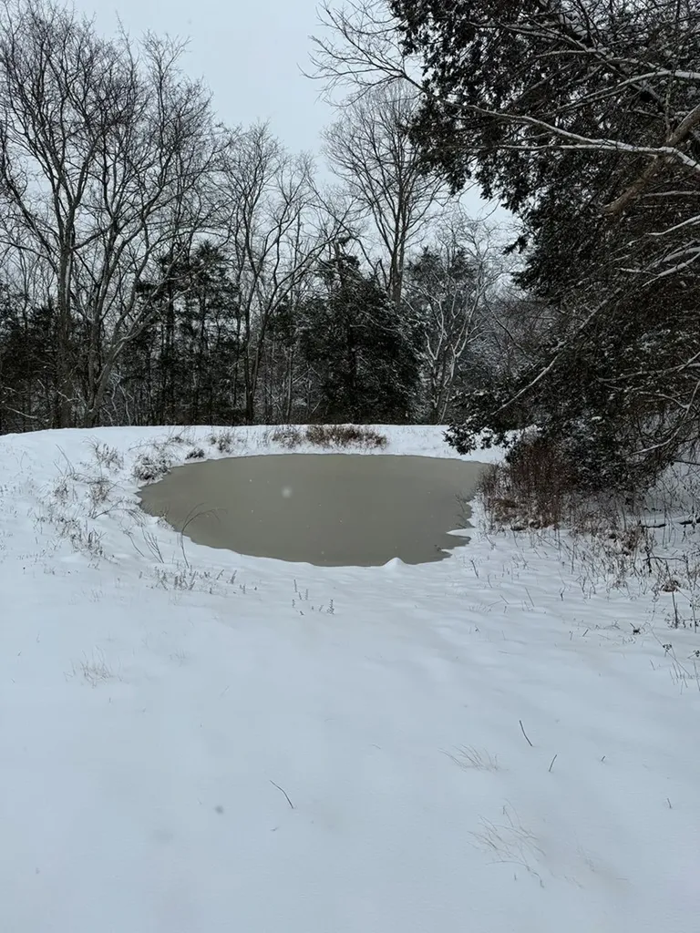 575 East Fork Road Whitleyville TN 38588