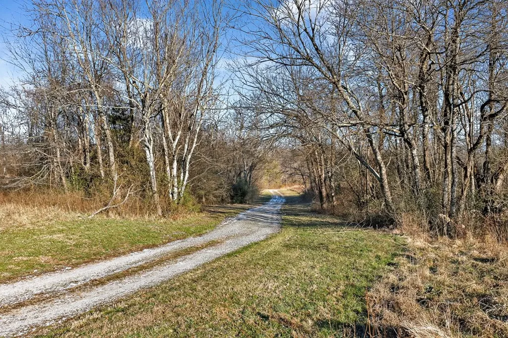 40 Diamond Padgett Lane Monterey TN 38574