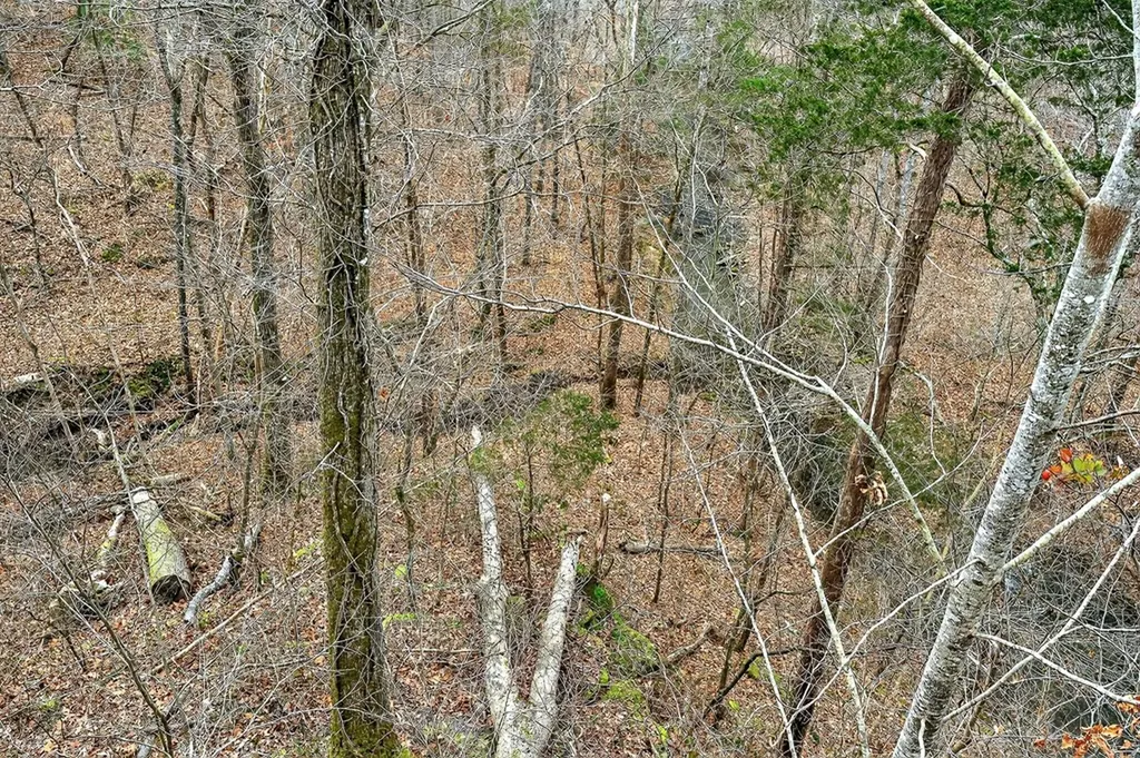 136 Crawford Chapel Road Cookeville TN 38506