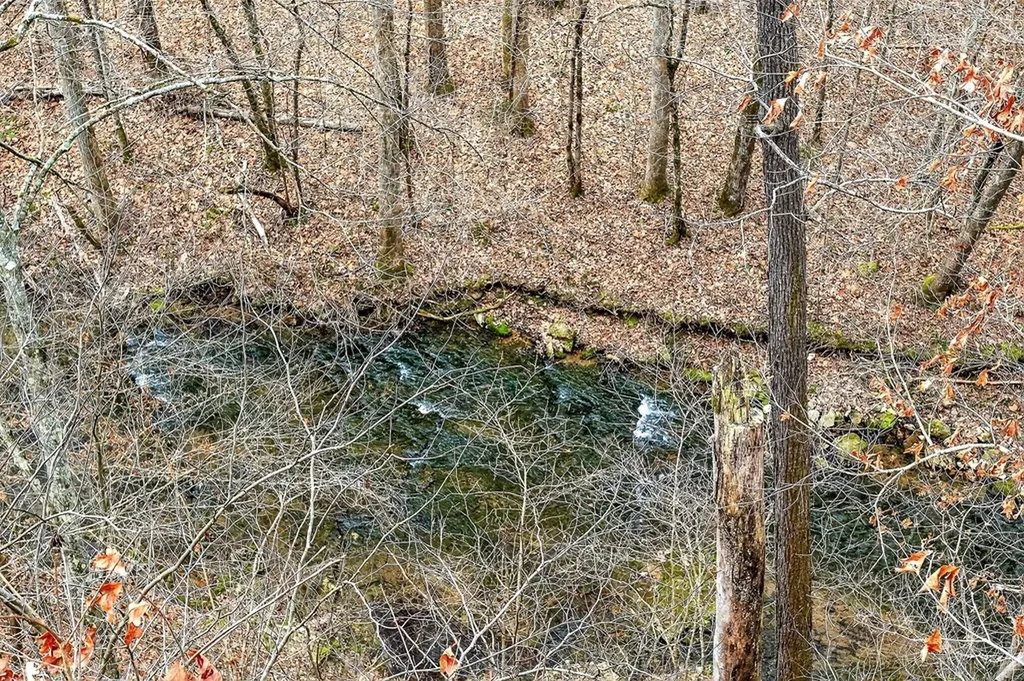 136 Crawford Chapel Road Cookeville TN 38506