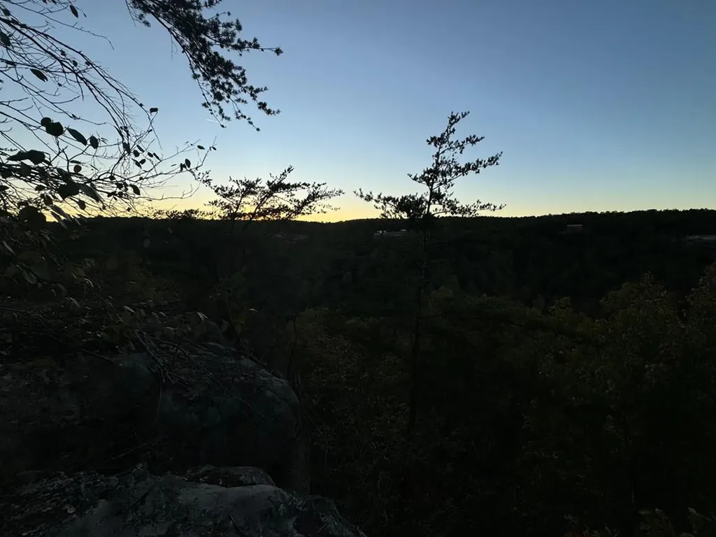 0 Panther Falls Road Wilder TN 38589