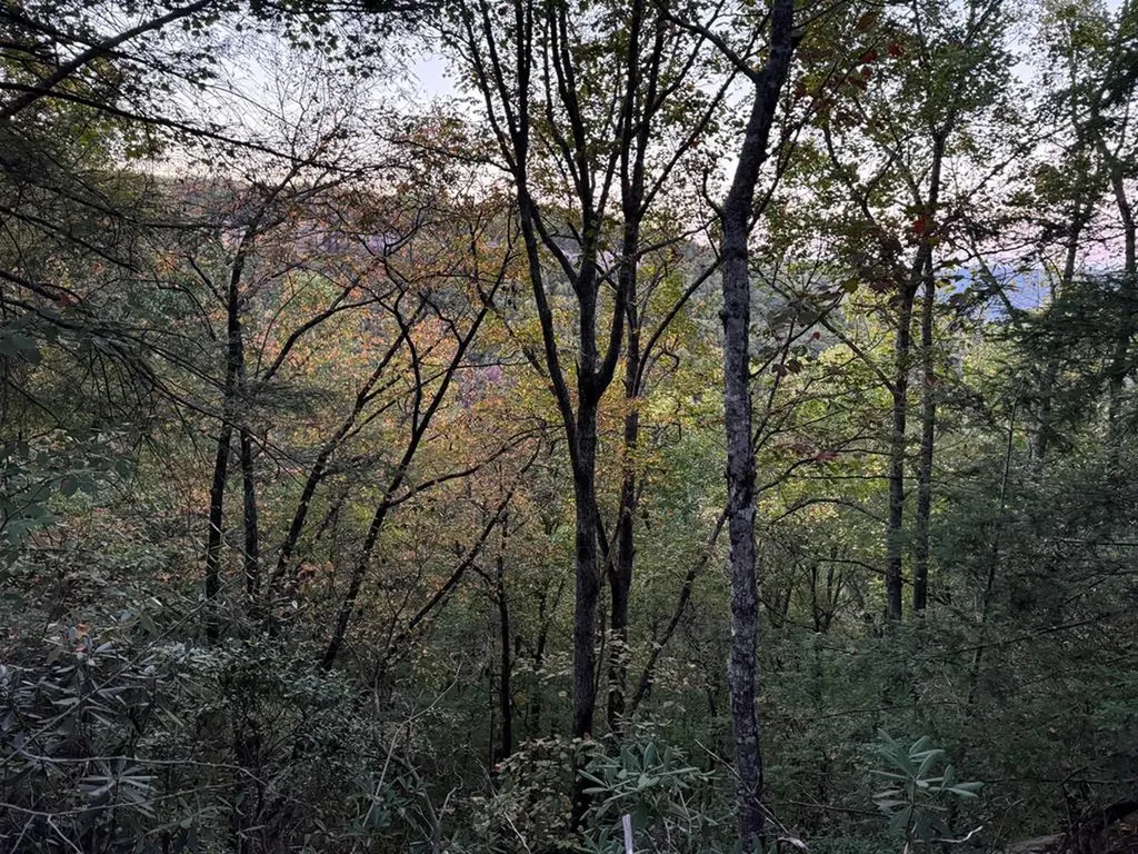 0 Panther Falls Road Wilder TN 38589