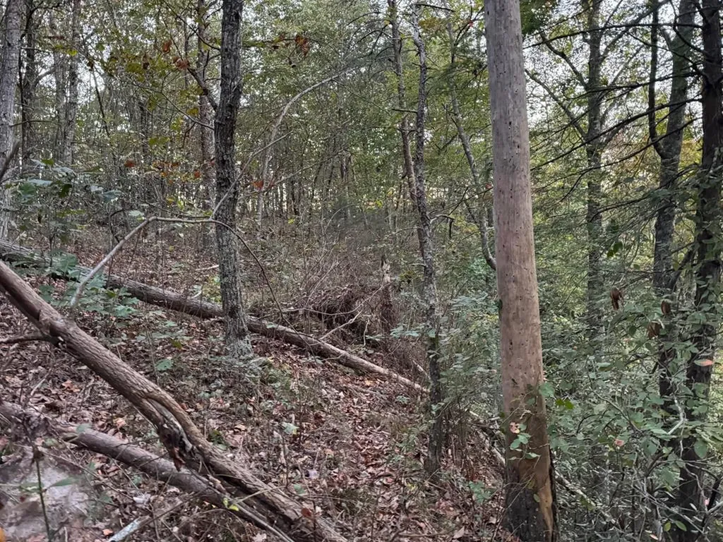 0 Panther Falls Road Wilder TN 38589