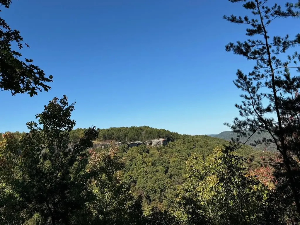 0 Panther Falls Road Wilder TN 38589