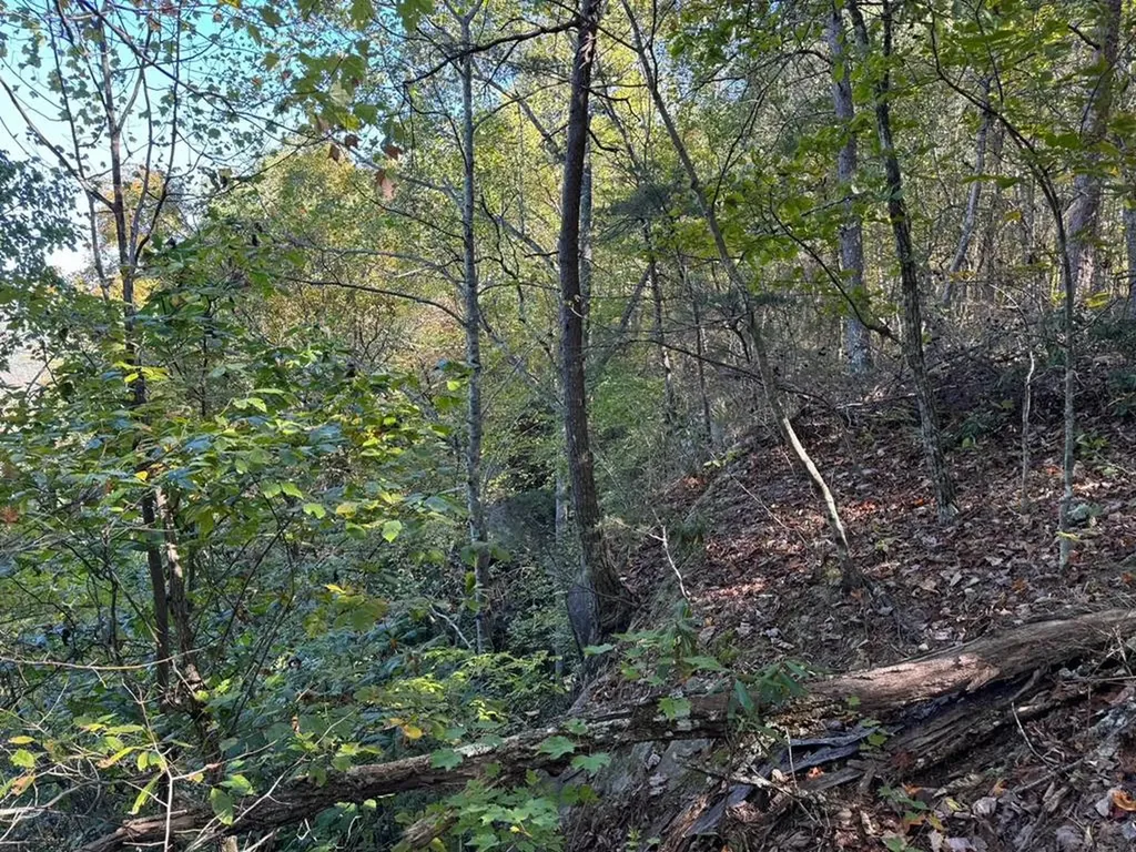 0 Panther Falls Road Wilder TN 38589