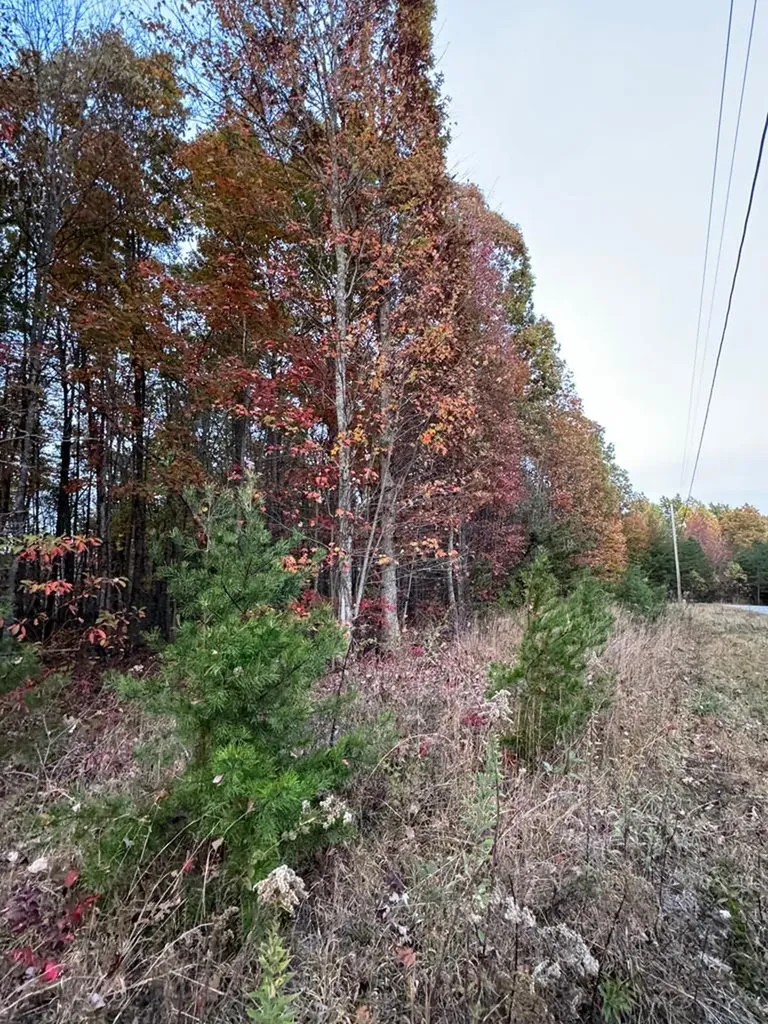0 Panther Falls Road Wilder TN 38589