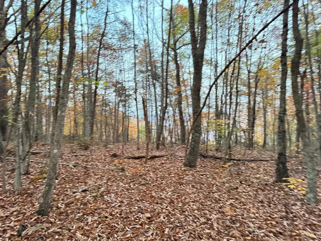 0 Panther Falls Road Wilder TN 38589