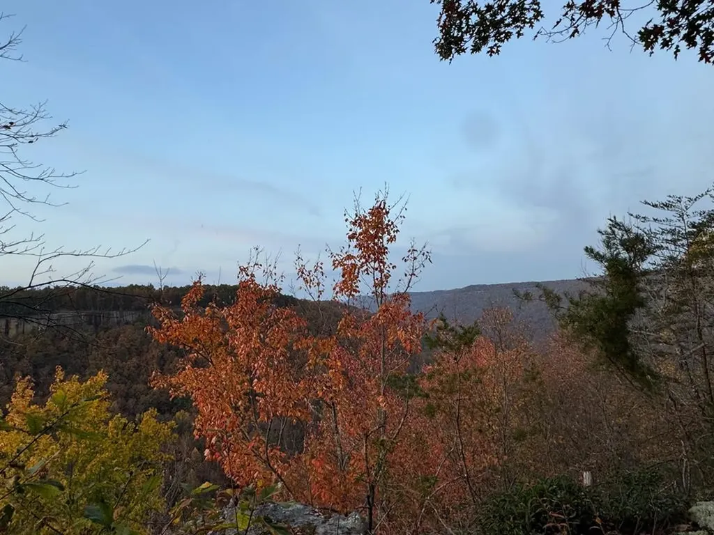 0 Panther Falls Road Wilder TN 38589