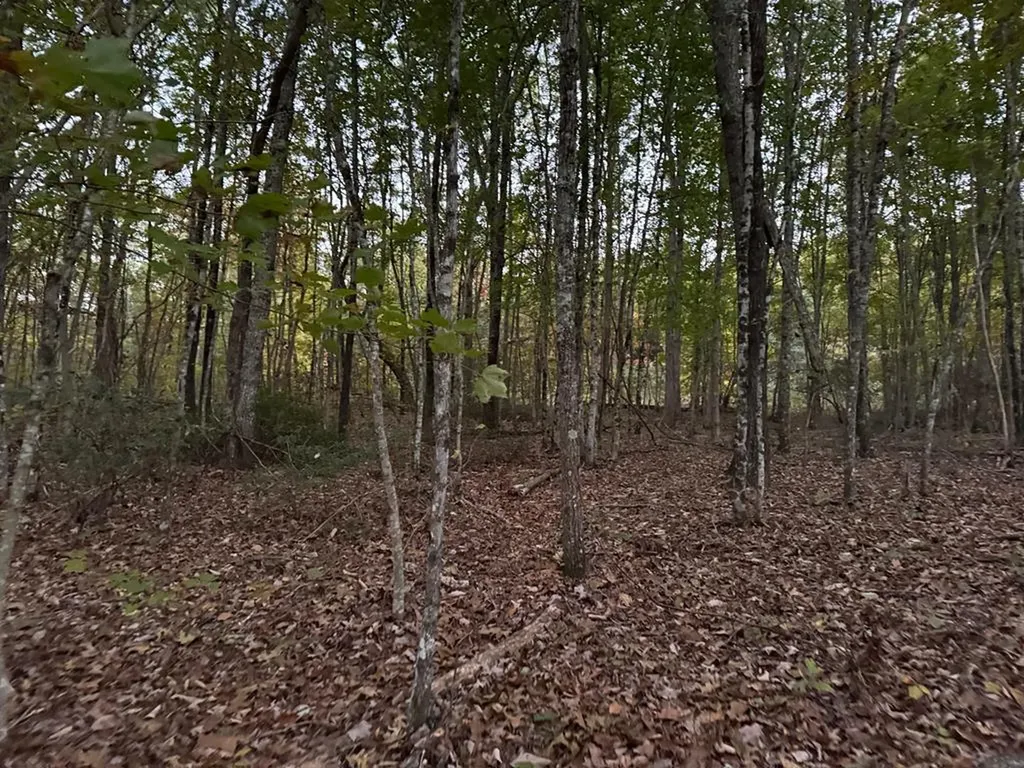 0 Panther Falls Road Wilder TN 38589