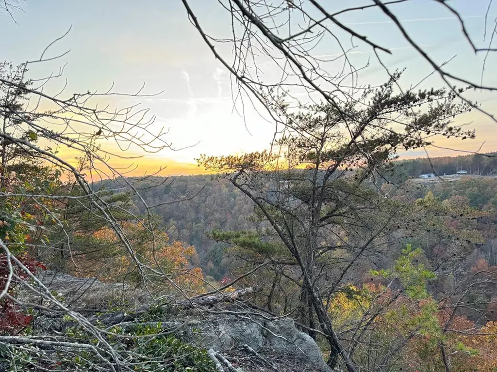 0 Panther Falls Road Wilder TN 38589