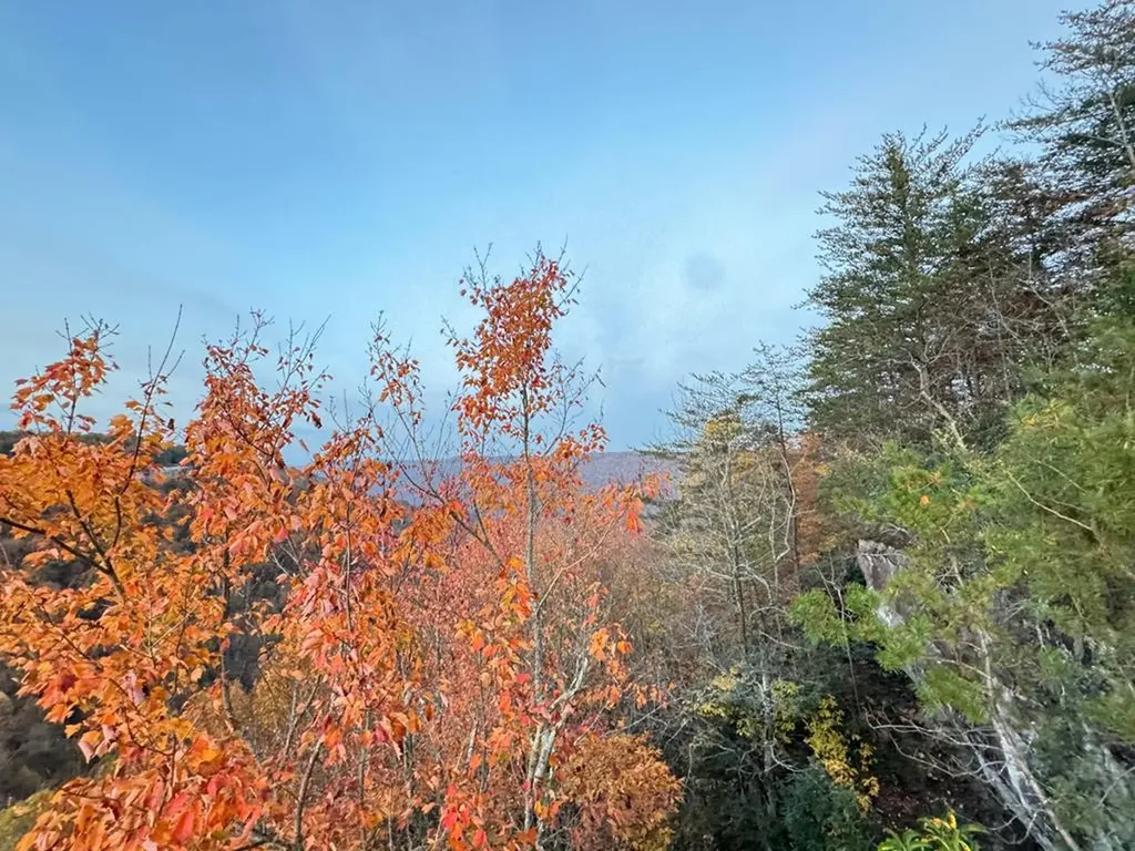 0 Panther Falls Road Wilder TN 38589