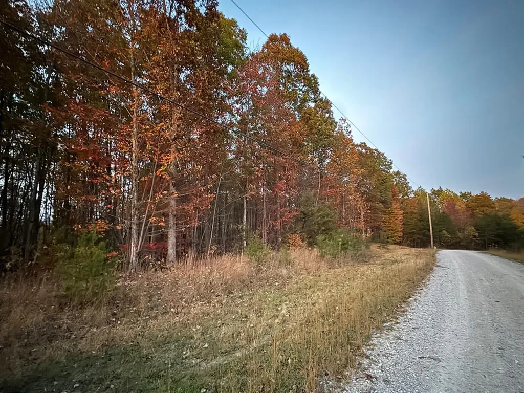 0 Panther Falls Road Wilder TN 38589