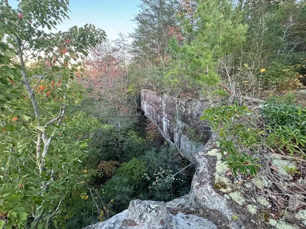 0 Panther Falls Road Wilder TN 38589
