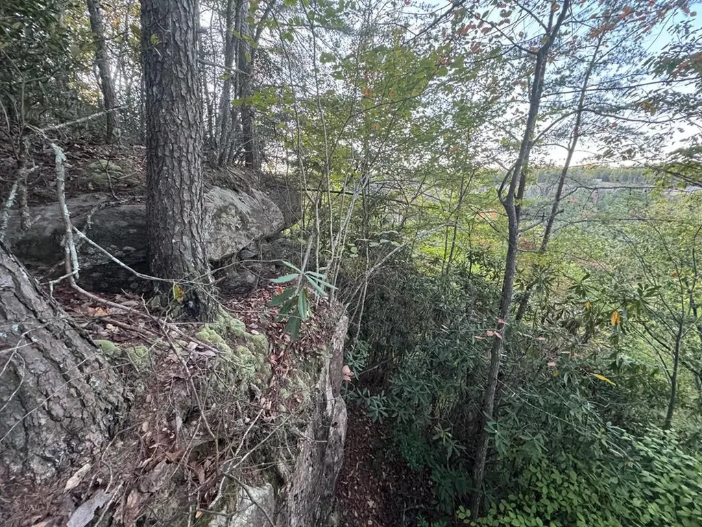 0 Panther Falls Road Wilder TN 38589