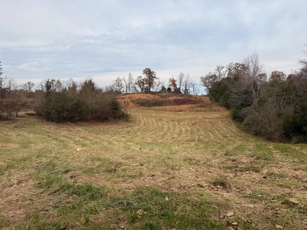 311 W Gooseneck Road Sparta TN 38583