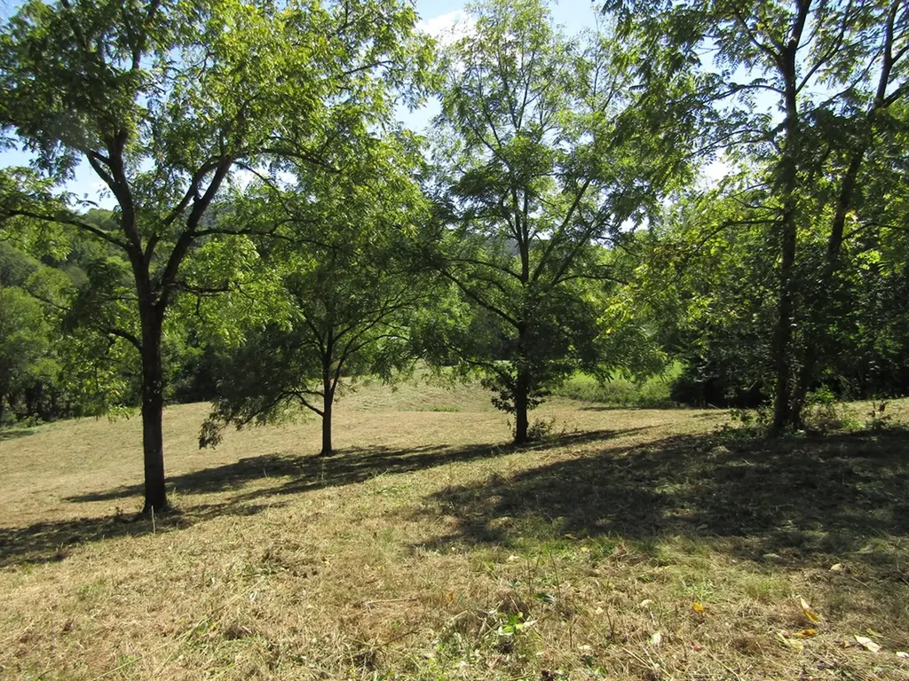14AC Hartsville Road Lafayette TN 37083